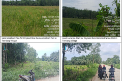 Bimtek Budidaya Padi Ladang