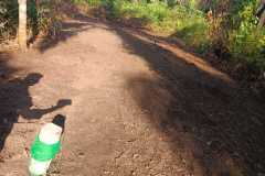 Lahan-Lokasi-padi-terapung